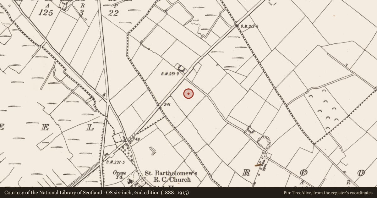 Ordnance Survey six-inch map, 2nd edition (1888–1915) covering the location of Ringfort - rath, Roos, County Longford, with a pin at the register's coordinates