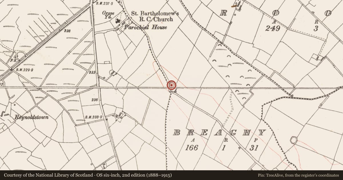 Ordnance Survey six-inch map, 2nd edition (1888–1915) covering the location of Ringfort - rath, Breaghy, Drummeel, County Longford, with a pin at the register's coordinates