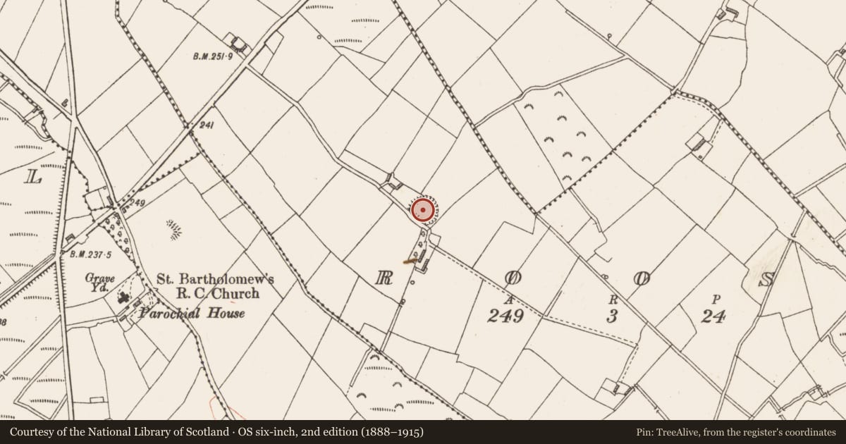 Ordnance Survey six-inch map, 2nd edition (1888–1915) covering the location of Ringfort - rath, Roos, County Longford, with a pin at the register's coordinates