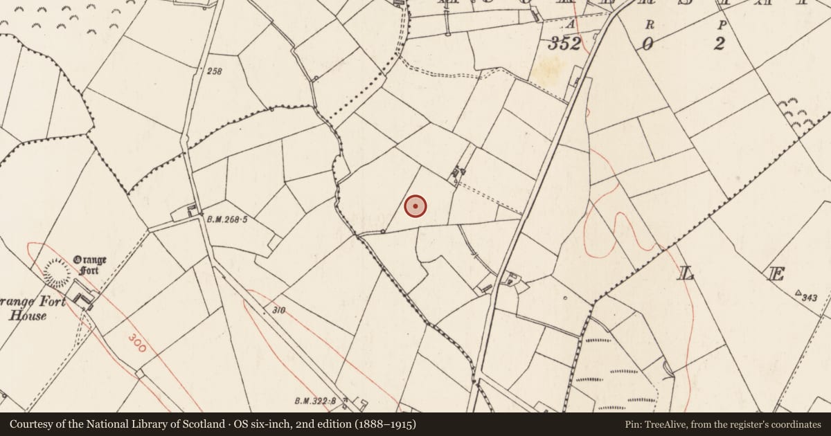 Ordnance Survey six-inch map, 2nd edition (1888–1915) covering the location of Barrow - ring-barrow, Muckerstaff, County Longford, with a pin at the register's coordinates