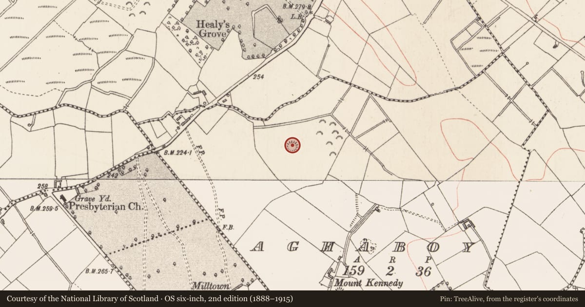 Ordnance Survey six-inch map, 2nd edition (1888–1915) covering the location of Ringfort - rath, Aghaboy, County Longford, with a pin at the register's coordinates