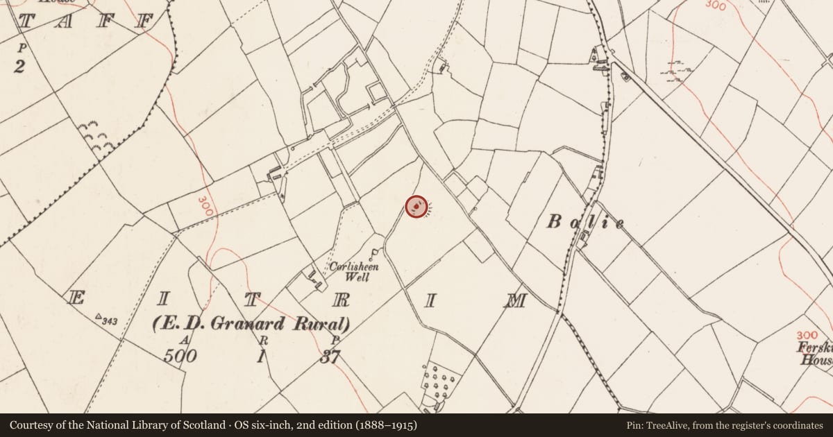 Ordnance Survey six-inch map, 2nd edition (1888–1915) covering the location of Ringfort - rath, Leitrim, County Longford, with a pin at the register's coordinates