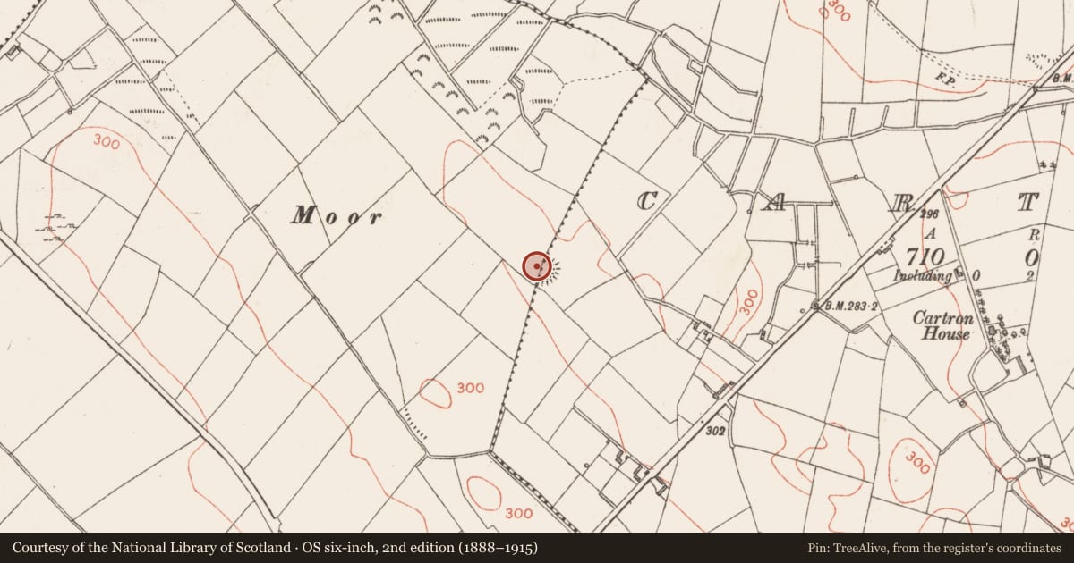 Ordnance Survey six-inch map, 2nd edition (1888–1915) covering the location of Ringfort - rath, Cartron, Ferskill, County Longford, with a pin at the register's coordinates