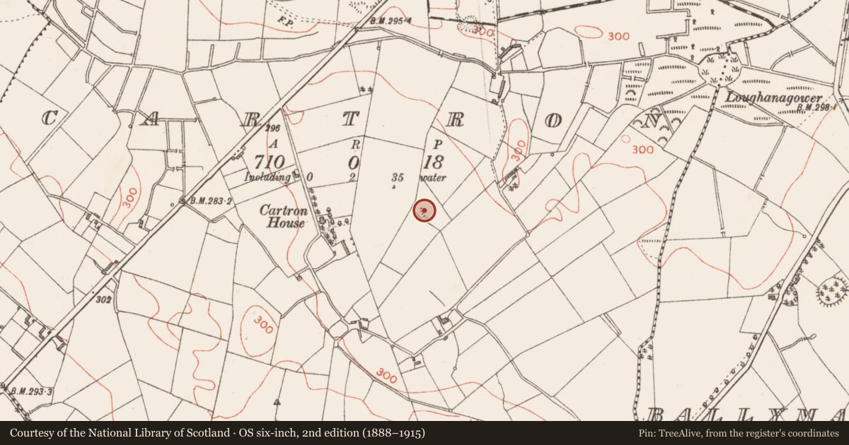 Ordnance Survey six-inch map, 2nd edition (1888–1915) covering the location of Ringfort - rath, Cartron, County Longford, with a pin at the register's coordinates