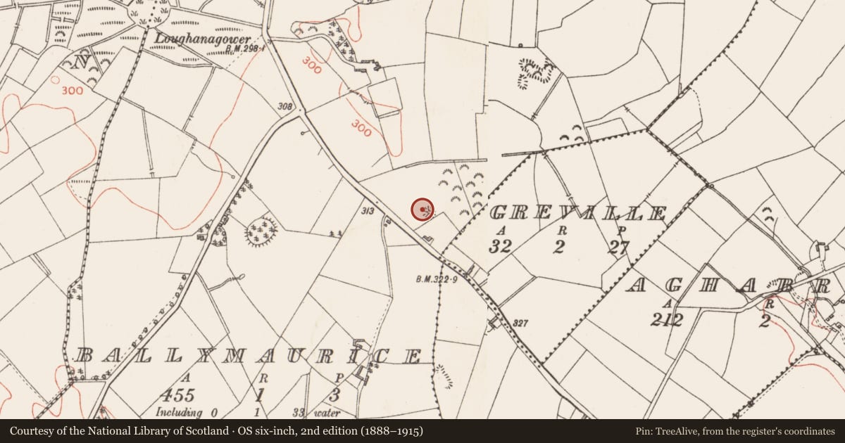 Ordnance Survey six-inch map, 2nd edition (1888–1915) covering the location of Barrow - bowl-barrow, Ballymaurice, County Longford, with a pin at the register's coordinates