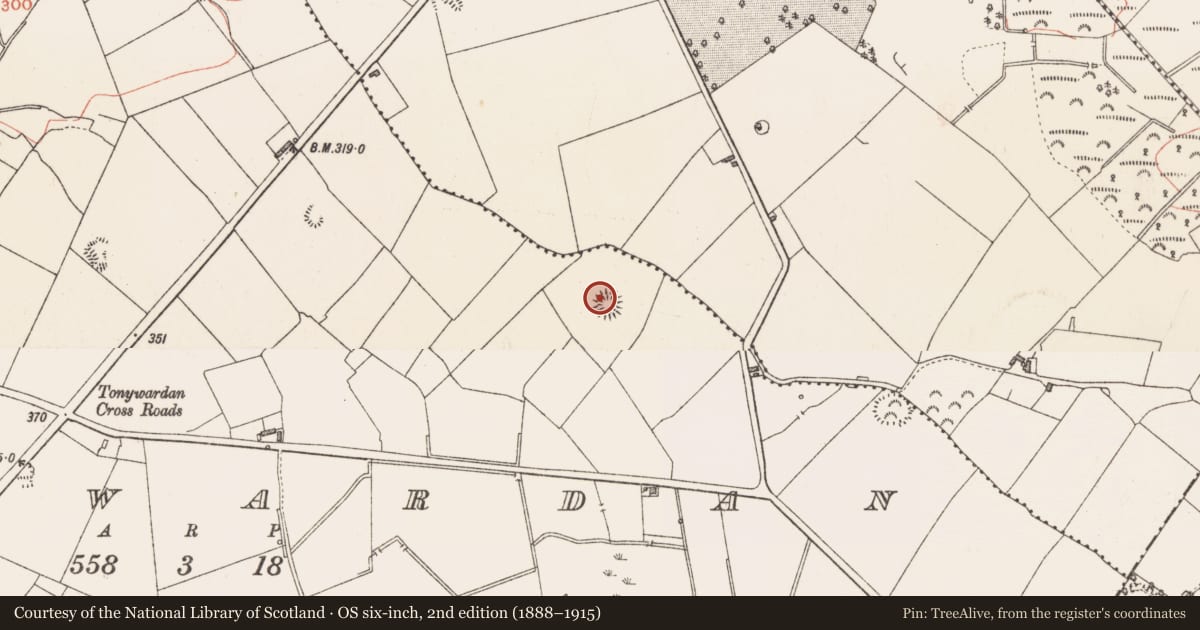 Ordnance Survey six-inch map, 2nd edition (1888–1915) covering the location of Ringfort - rath, Tonywardan, County Longford, with a pin at the register's coordinates
