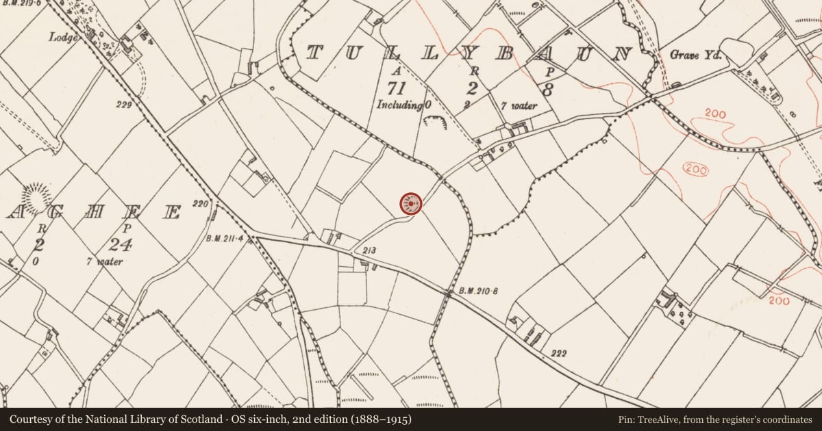 Ordnance Survey six-inch map, 2nd edition (1888–1915) covering the location of Ringfort - rath, Ballyreaghan, County Longford, with a pin at the register's coordinates