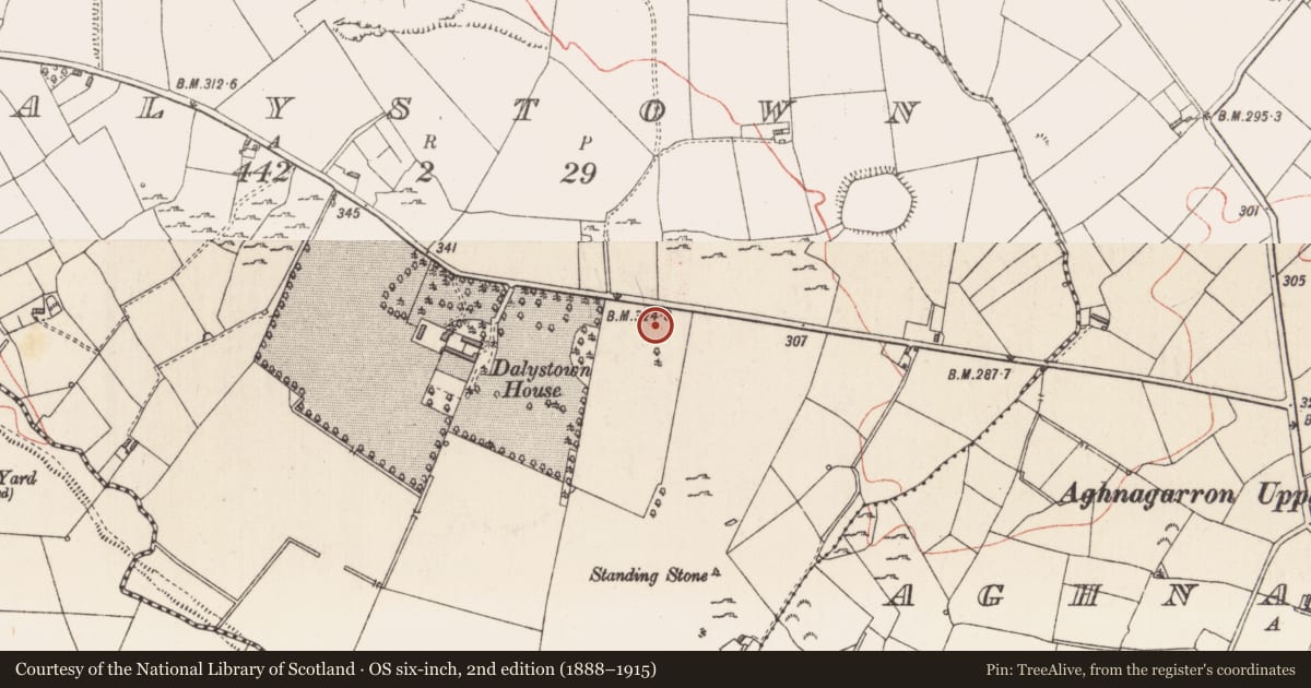Ordnance Survey six-inch map, 2nd edition (1888–1915) covering the location of Standing stone, Dalystown, County Longford, with a pin at the register's coordinates