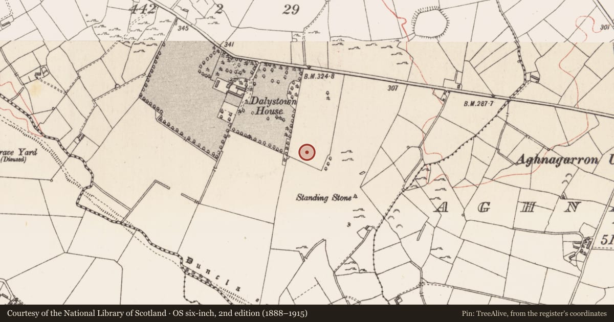 Ordnance Survey six-inch map, 2nd edition (1888–1915) covering the location of Standing stone, Dalystown, County Longford, with a pin at the register's coordinates