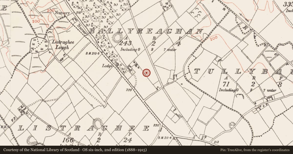 Ordnance Survey six-inch map, 2nd edition (1888–1915) covering the location of Ringfort - rath, Ballyreaghan, County Longford, with a pin at the register's coordinates