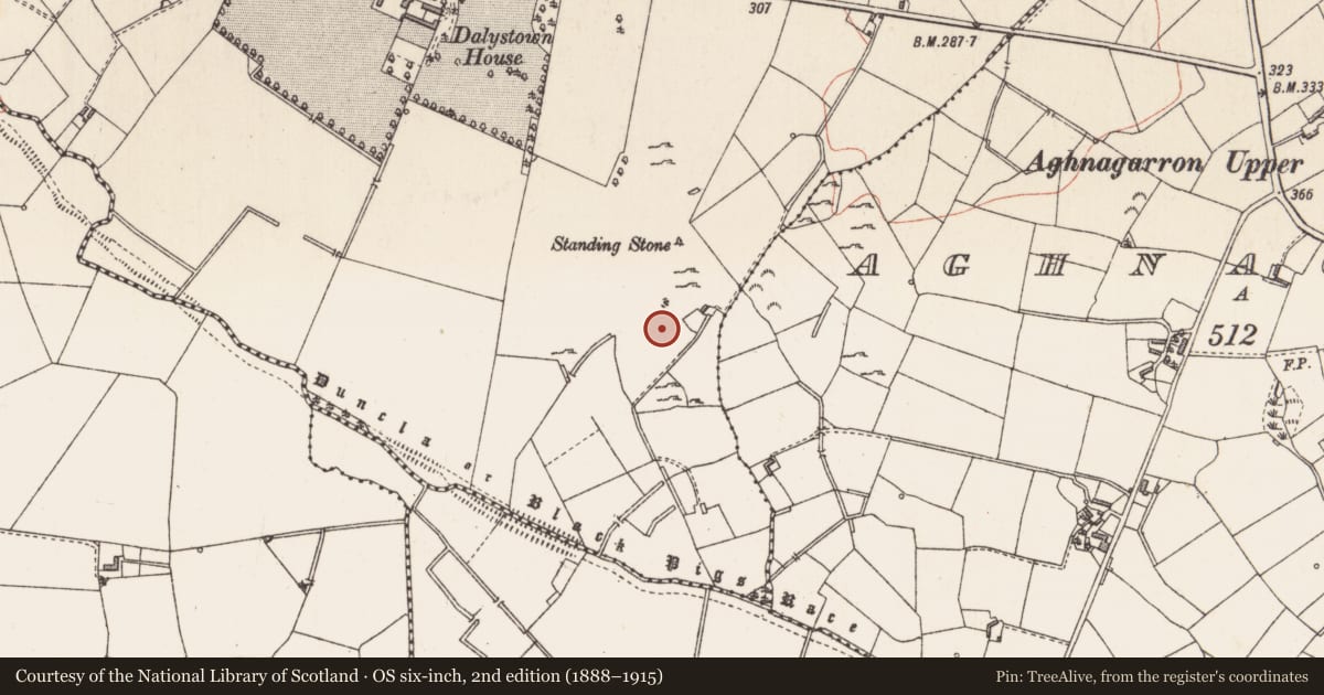 Ordnance Survey six-inch map, 2nd edition (1888–1915) covering the location of Megalithic structure, Dalystown, County Longford, with a pin at the register's coordinates
