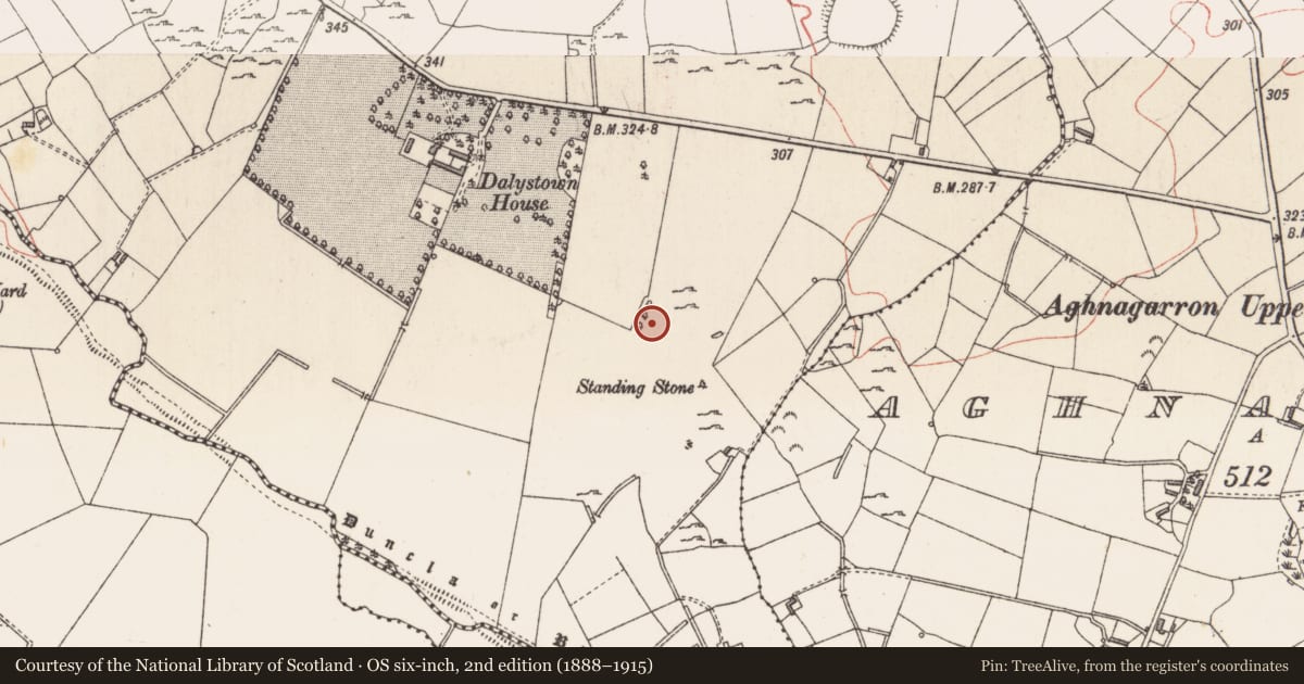 Ordnance Survey six-inch map, 2nd edition (1888–1915) covering the location of House - indeterminate date, Dalystown, County Longford, with a pin at the register's coordinates