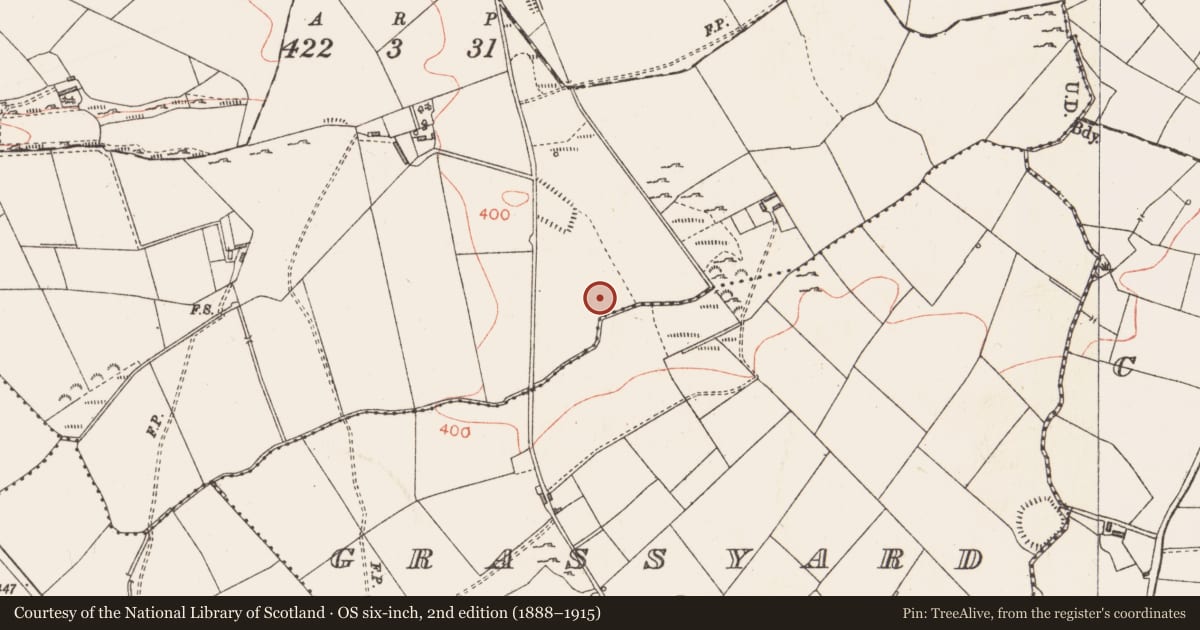 Ordnance Survey six-inch map, 2nd edition (1888–1915) covering the location of Standing stone, Tromra, County Longford, with a pin at the register's coordinates