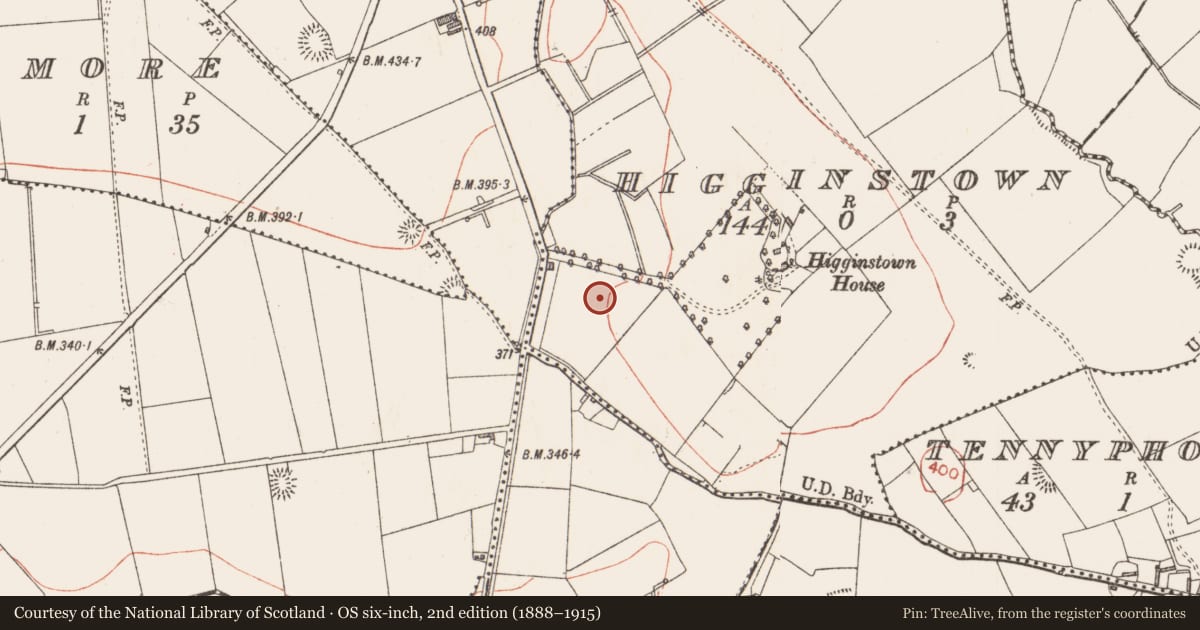 Ordnance Survey six-inch map, 2nd edition (1888–1915) covering the location of Standing stone, Higginstown, County Longford, with a pin at the register's coordinates