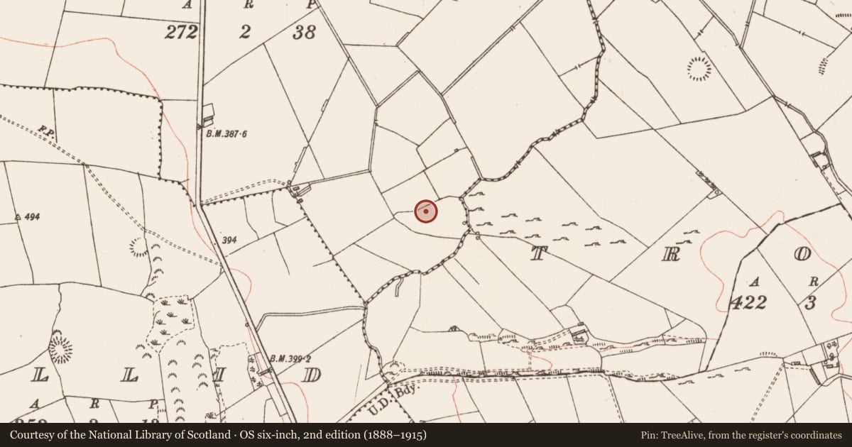 Ordnance Survey six-inch map, 2nd edition (1888–1915) covering the location of Standing stone, Clogh, County Longford, with a pin at the register's coordinates