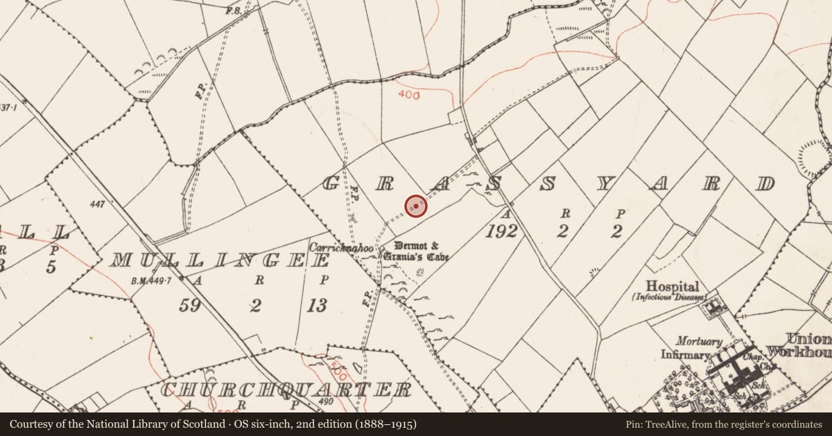 Ordnance Survey six-inch map, 2nd edition (1888–1915) covering the location of Standing stone, Grassyard, County Longford, with a pin at the register's coordinates