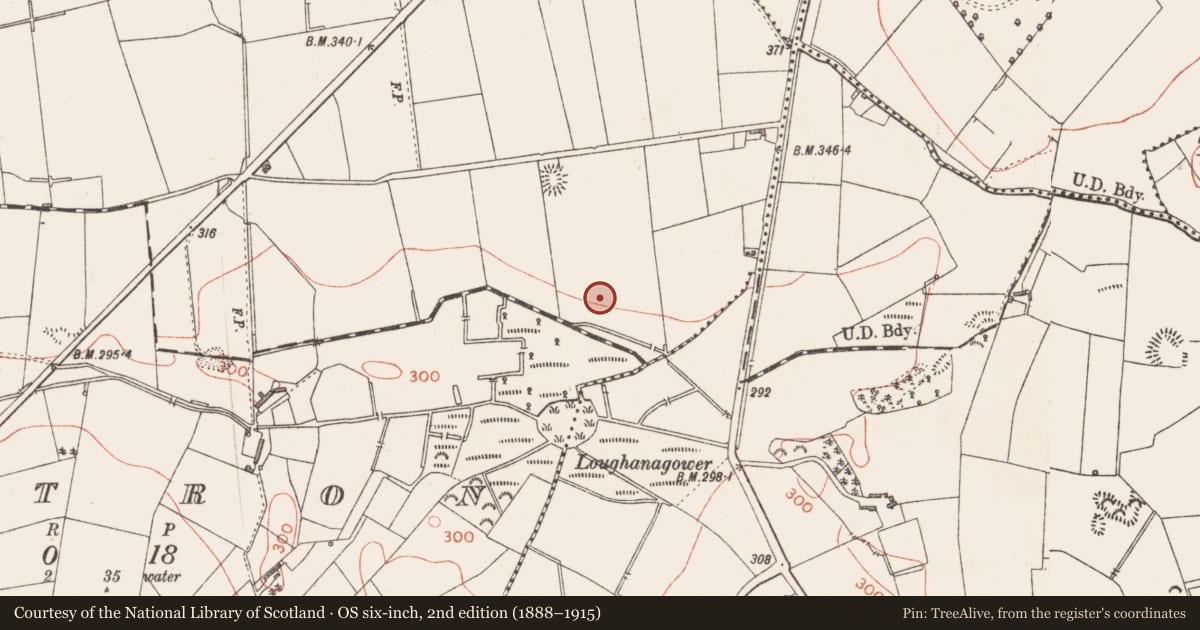 Ordnance Survey six-inch map, 2nd edition (1888–1915) covering the location of Excavation - miscellaneous, Cartron, County Longford, with a pin at the register's coordinates