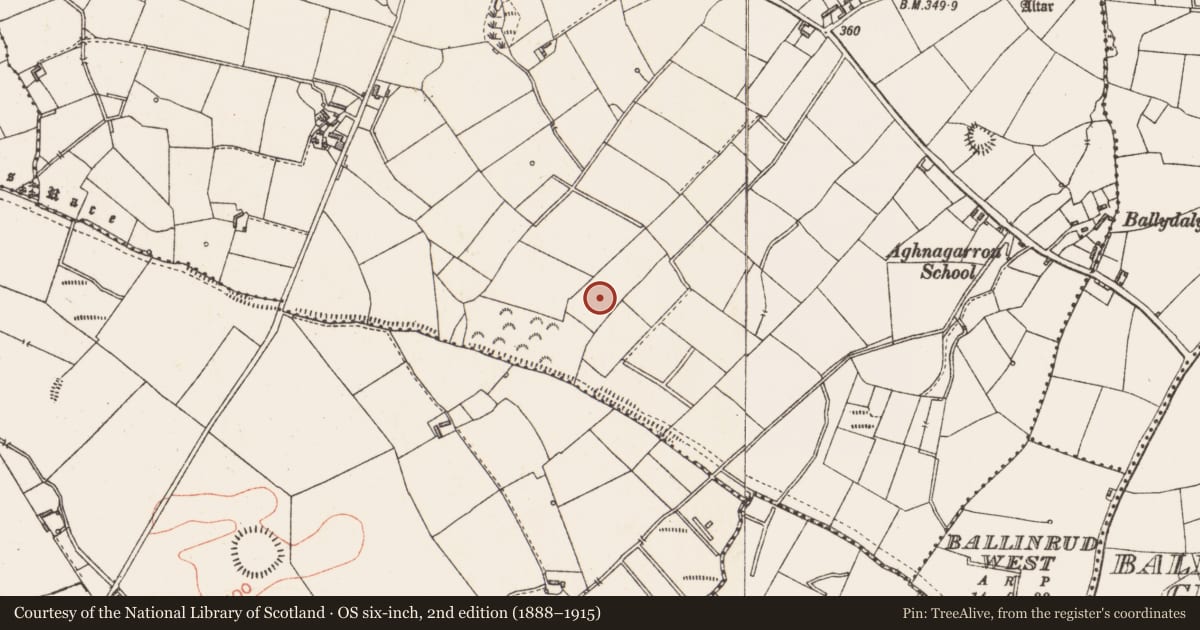 Ordnance Survey six-inch map, 2nd edition (1888–1915) covering the location of Burnt mound, Aghnagarron, County Longford, with a pin at the register's coordinates