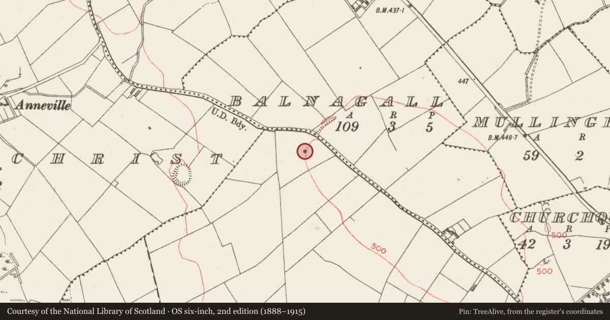Ordnance Survey six-inch map, 2nd edition (1888–1915) covering the location of Enclosure - large enclosure, Granardkill, County Longford, with a pin at the register's coordinates