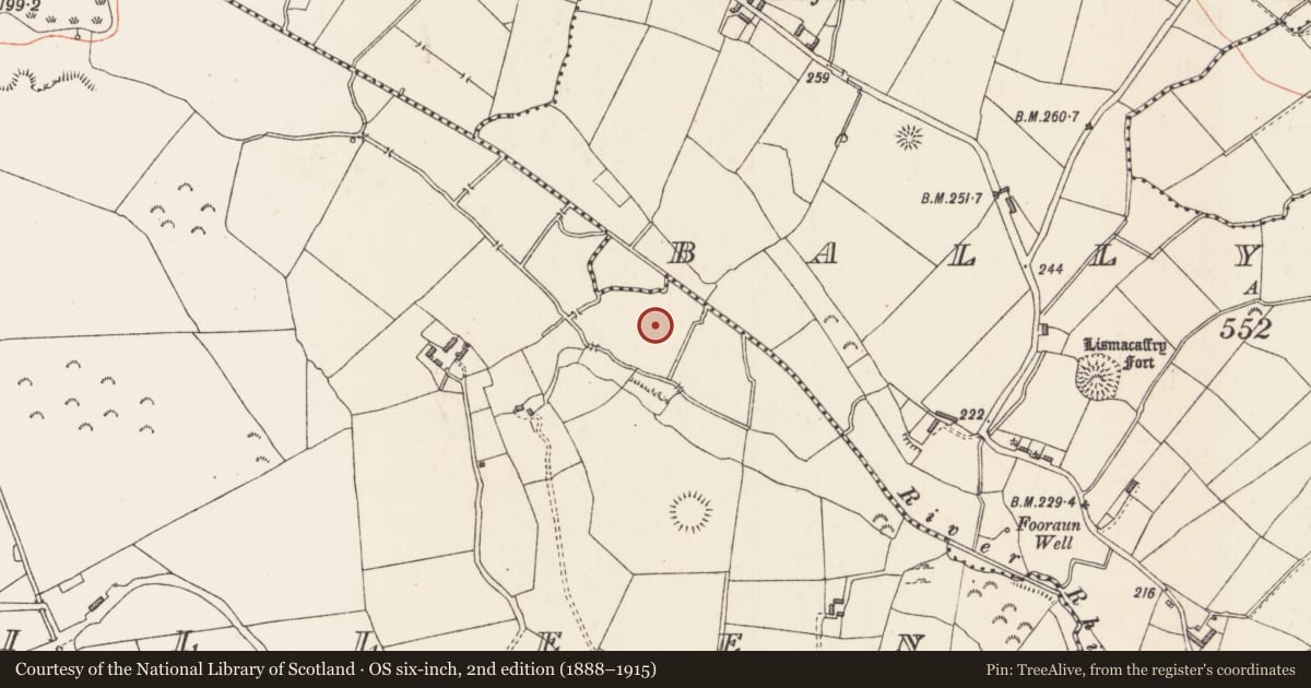 Ordnance Survey six-inch map, 2nd edition (1888–1915) covering the location of Barrow - unclassified, Killeen, County Longford, with a pin at the register's coordinates