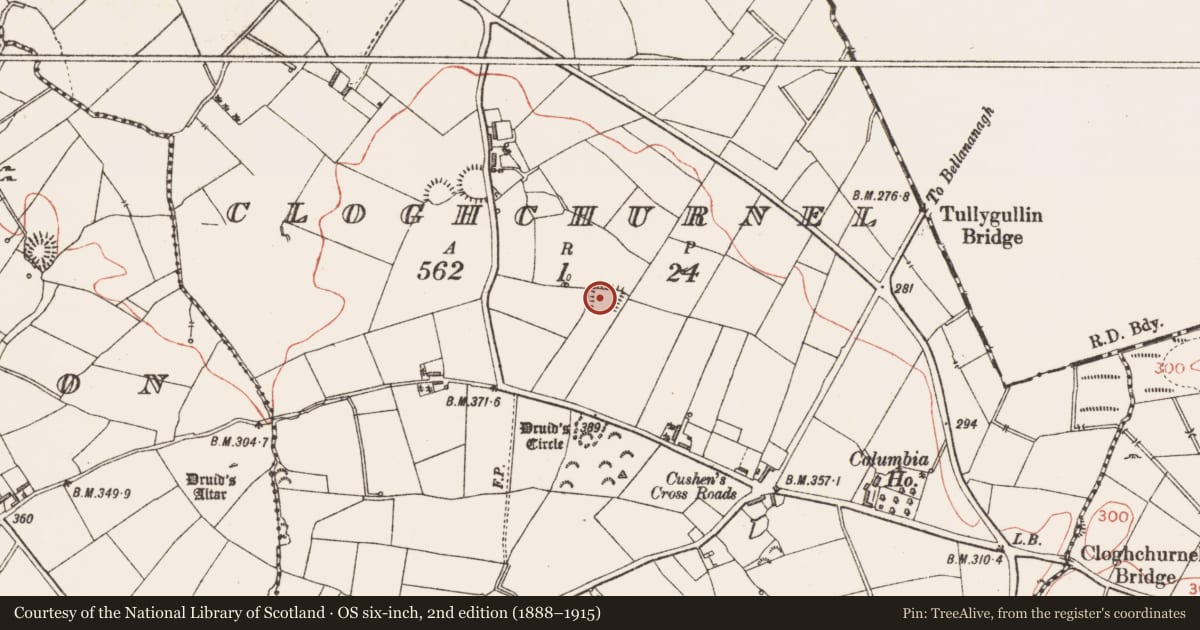 Ordnance Survey six-inch map, 2nd edition (1888–1915) covering the location of Moated site, Cloghchurnel, County Longford, with a pin at the register's coordinates