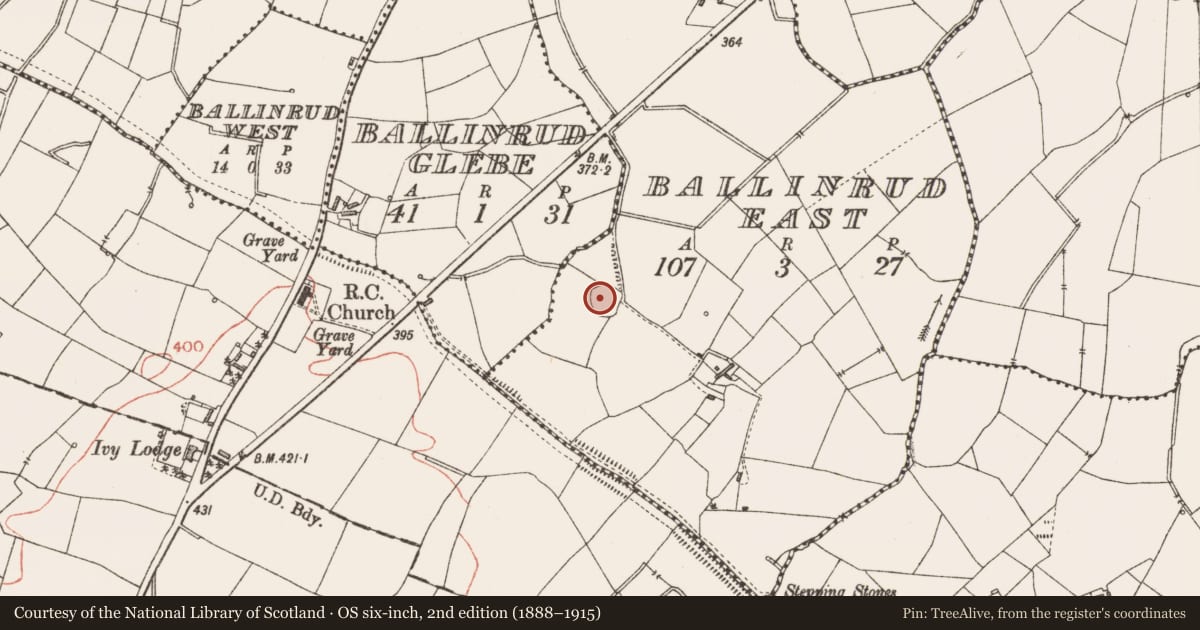 Ordnance Survey six-inch map, 2nd edition (1888–1915) covering the location of Ringfort - rath, Ballinrud East, County Longford, with a pin at the register's coordinates