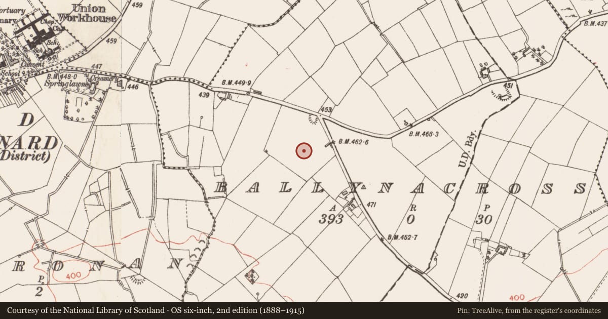 Ordnance Survey six-inch map, 2nd edition (1888–1915) covering the location of Barrow - mound barrow, Ballynacross, County Longford, with a pin at the register's coordinates