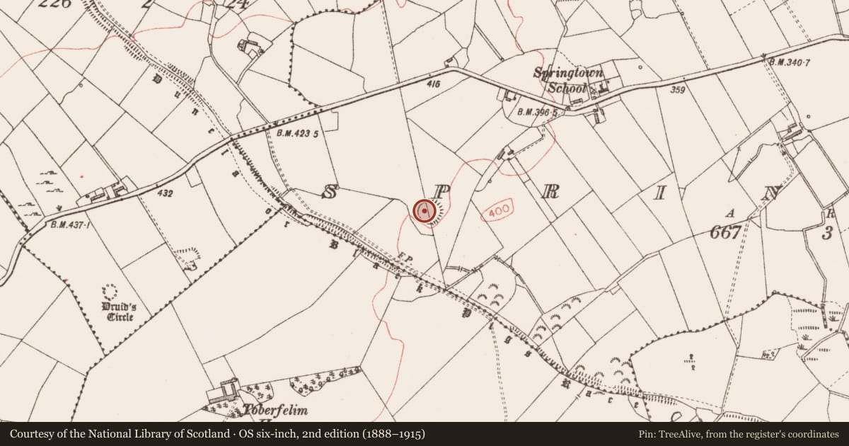 Ordnance Survey six-inch map, 2nd edition (1888–1915) covering the location of Ringfort - rath, Springtown, County Longford, with a pin at the register's coordinates