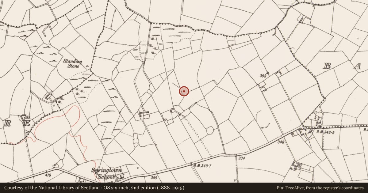 Ordnance Survey six-inch map, 2nd edition (1888–1915) covering the location of Ringfort - rath, Springtown, County Longford, with a pin at the register's coordinates