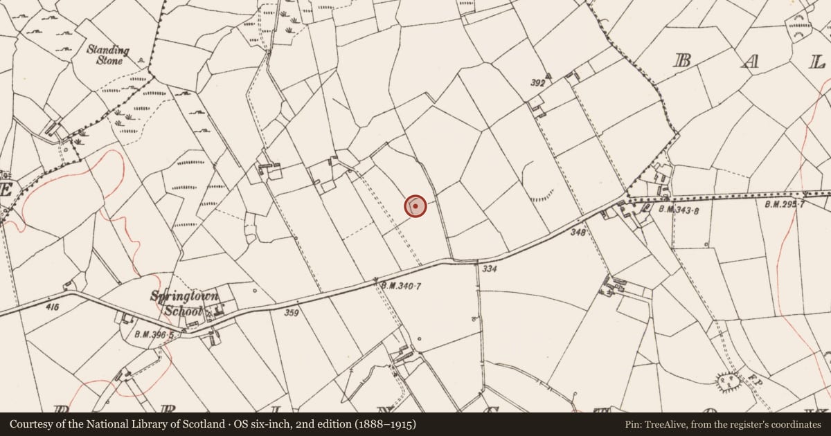 Ordnance Survey six-inch map, 2nd edition (1888–1915) covering the location of Ringfort - rath, Springtown, County Longford, with a pin at the register's coordinates