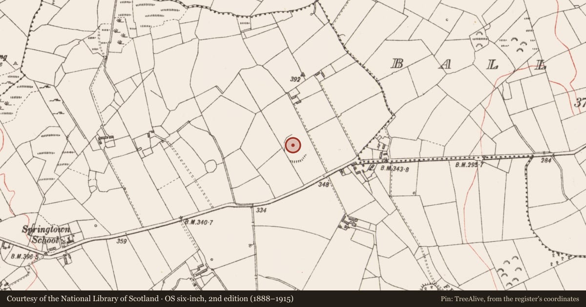 Ordnance Survey six-inch map, 2nd edition (1888–1915) covering the location of Enclosure, Springtown, County Longford, with a pin at the register's coordinates