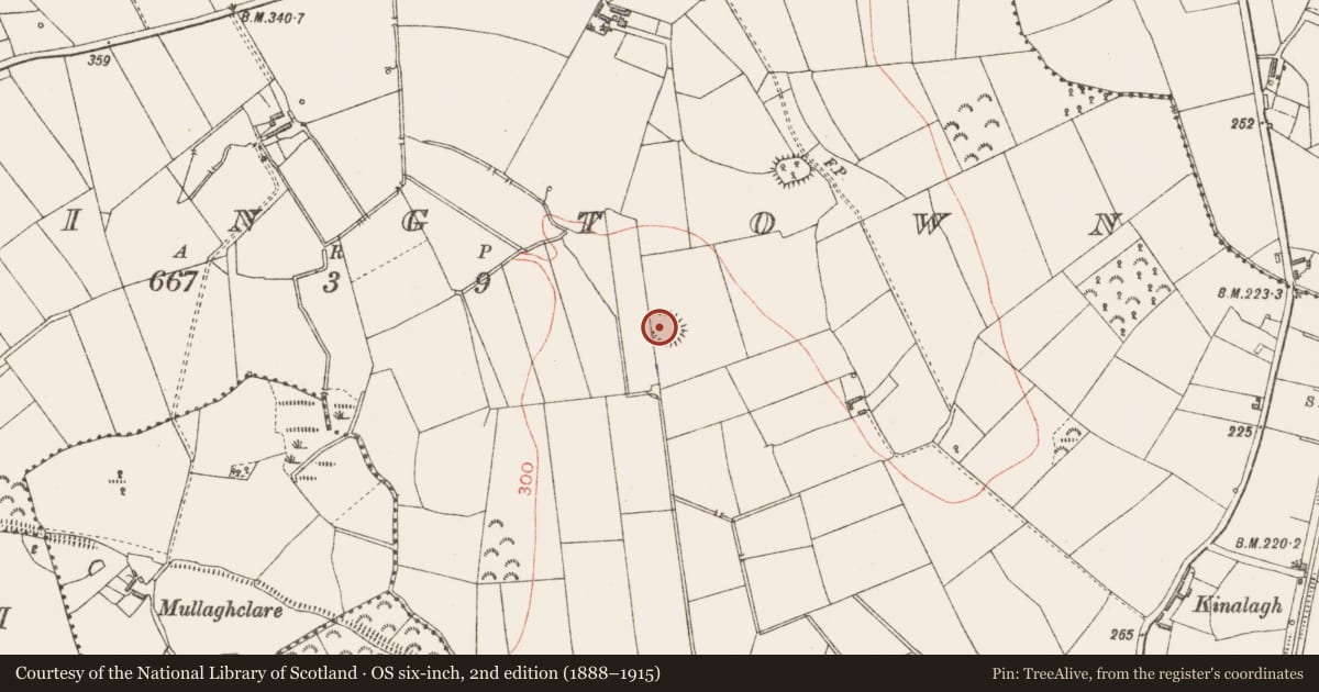 Ordnance Survey six-inch map, 2nd edition (1888–1915) covering the location of Ringfort - rath, Springtown, County Longford, with a pin at the register's coordinates