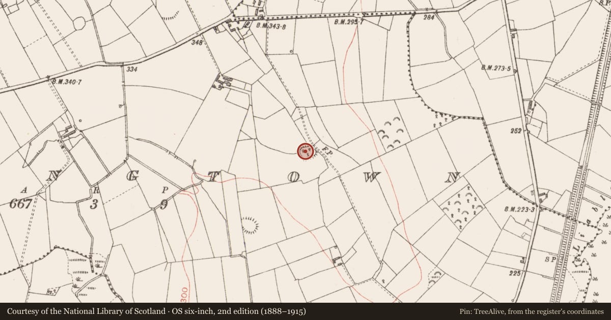 Ordnance Survey six-inch map, 2nd edition (1888–1915) covering the location of Ringfort - rath, Springtown, County Longford, with a pin at the register's coordinates