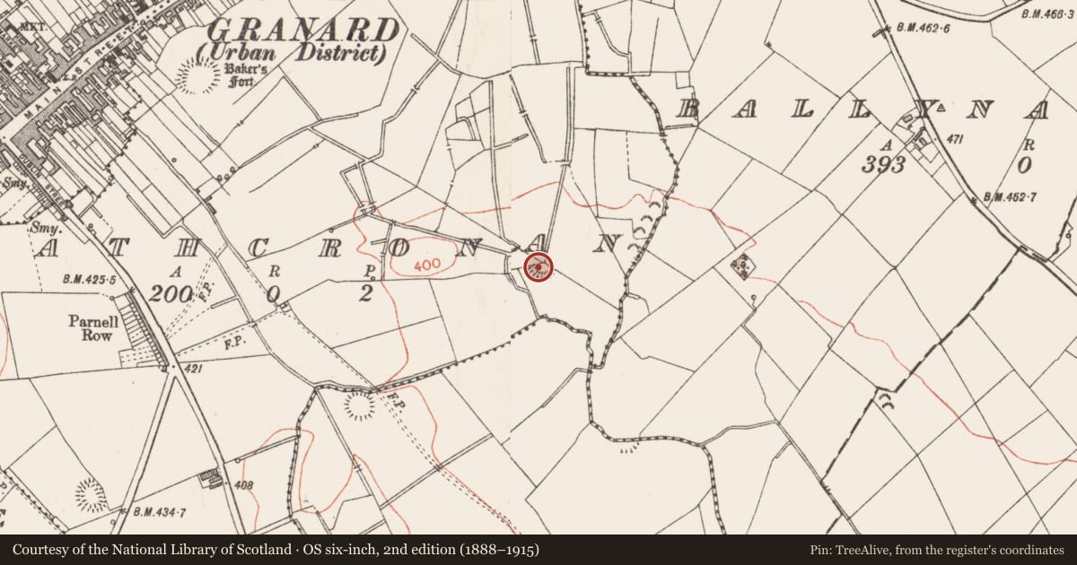 Ordnance Survey six-inch map, 2nd edition (1888–1915) covering the location of Ringfort - rath, Rathcronan, County Longford, with a pin at the register's coordinates
