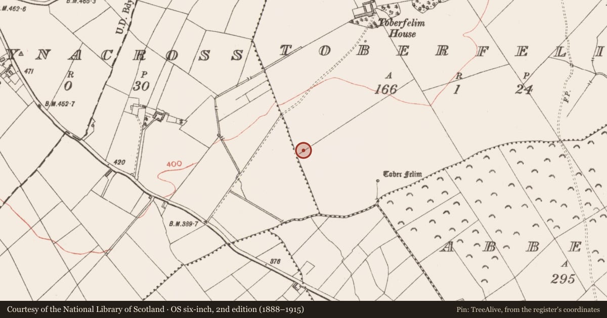 Ordnance Survey six-inch map, 2nd edition (1888–1915) covering the location of Ecclesiastical enclosure, Ballynacross, Toberfelim, County Longford, with a pin at the register's coordinates