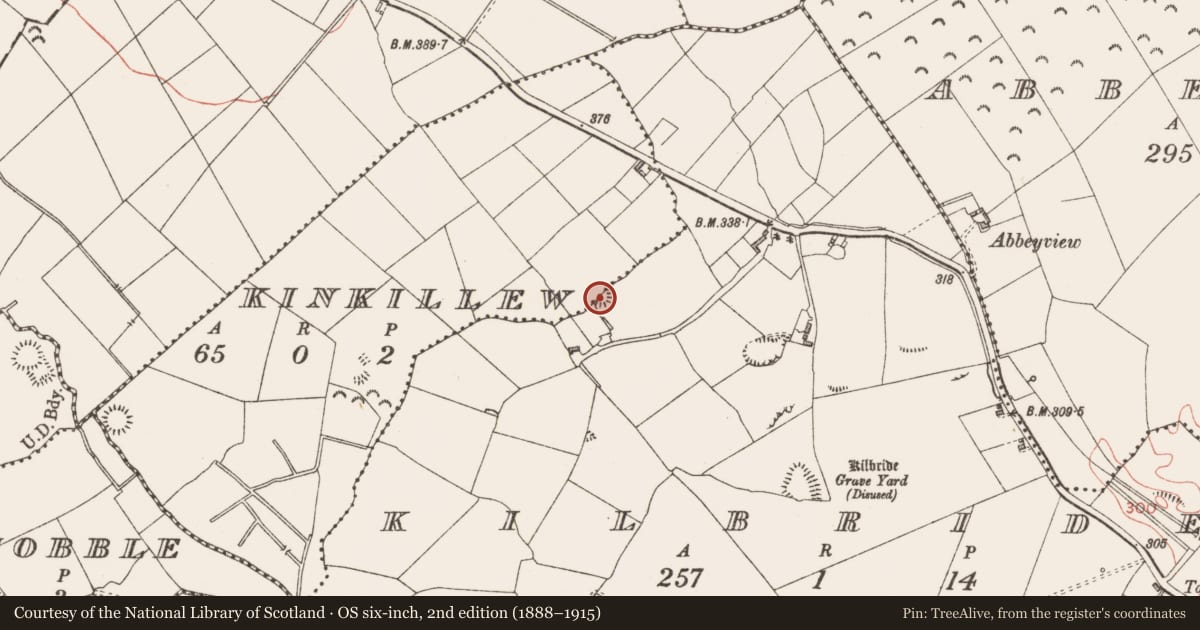 Ordnance Survey six-inch map, 2nd edition (1888–1915) covering the location of Ringfort - rath, Kilbride, Kinkillew, County Longford, with a pin at the register's coordinates
