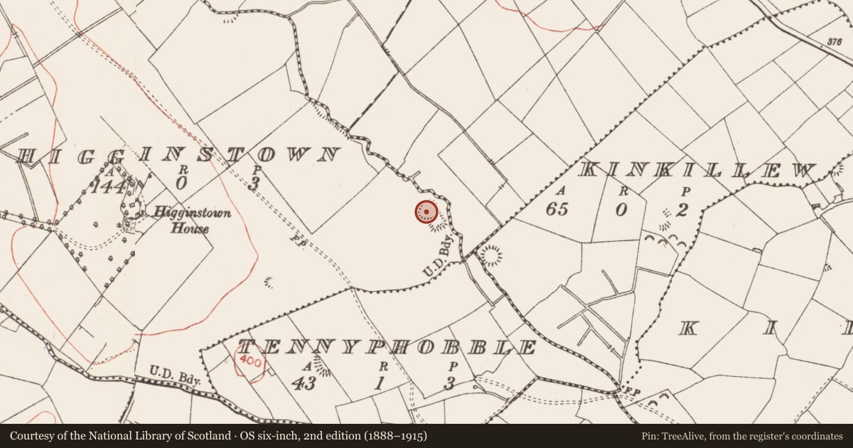 Ordnance Survey six-inch map, 2nd edition (1888–1915) covering the location of Ringfort - rath, Higginstown, County Longford, with a pin at the register's coordinates