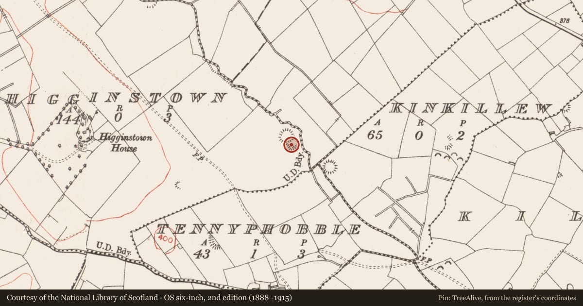 Ordnance Survey six-inch map, 2nd edition (1888–1915) covering the location of Enclosure, Higginstown, County Longford, with a pin at the register's coordinates