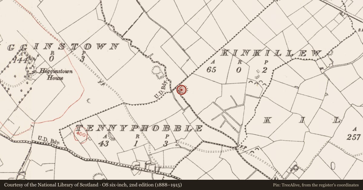 Ordnance Survey six-inch map, 2nd edition (1888–1915) covering the location of Ringfort - rath, Kinkillew, County Longford, with a pin at the register's coordinates