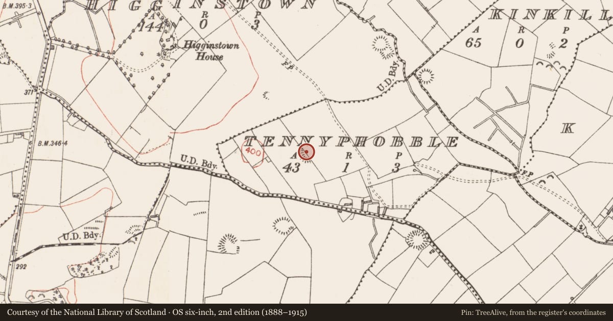 Ordnance Survey six-inch map, 2nd edition (1888–1915) covering the location of Ringfort - rath, Tennyphobble, County Longford, with a pin at the register's coordinates