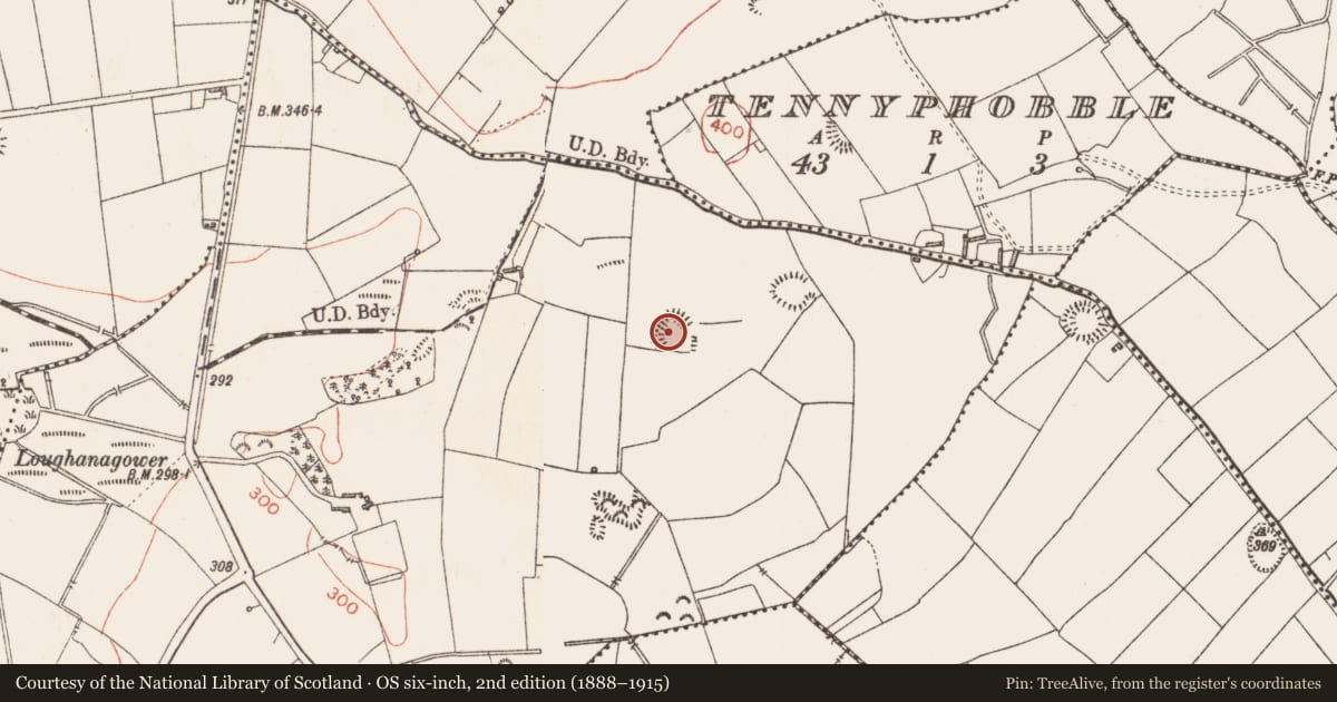 Ordnance Survey six-inch map, 2nd edition (1888–1915) covering the location of Ringfort - rath, Ballymaurice, County Longford, with a pin at the register's coordinates