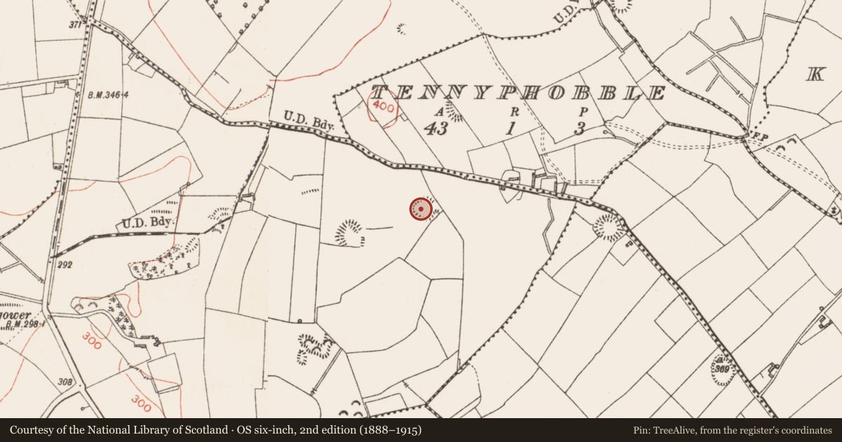 Ordnance Survey six-inch map, 2nd edition (1888–1915) covering the location of Ringfort - rath, Ballymaurice, County Longford, with a pin at the register's coordinates