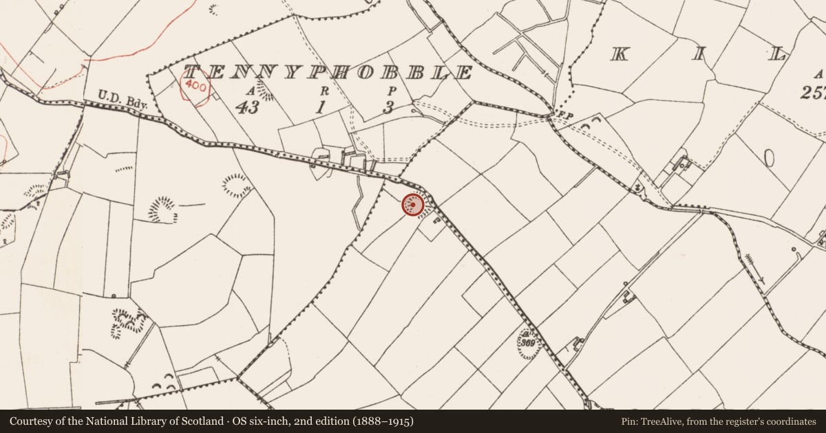 Ordnance Survey six-inch map, 2nd edition (1888–1915) covering the location of Ringfort - rath, Aghabrack, County Longford, with a pin at the register's coordinates