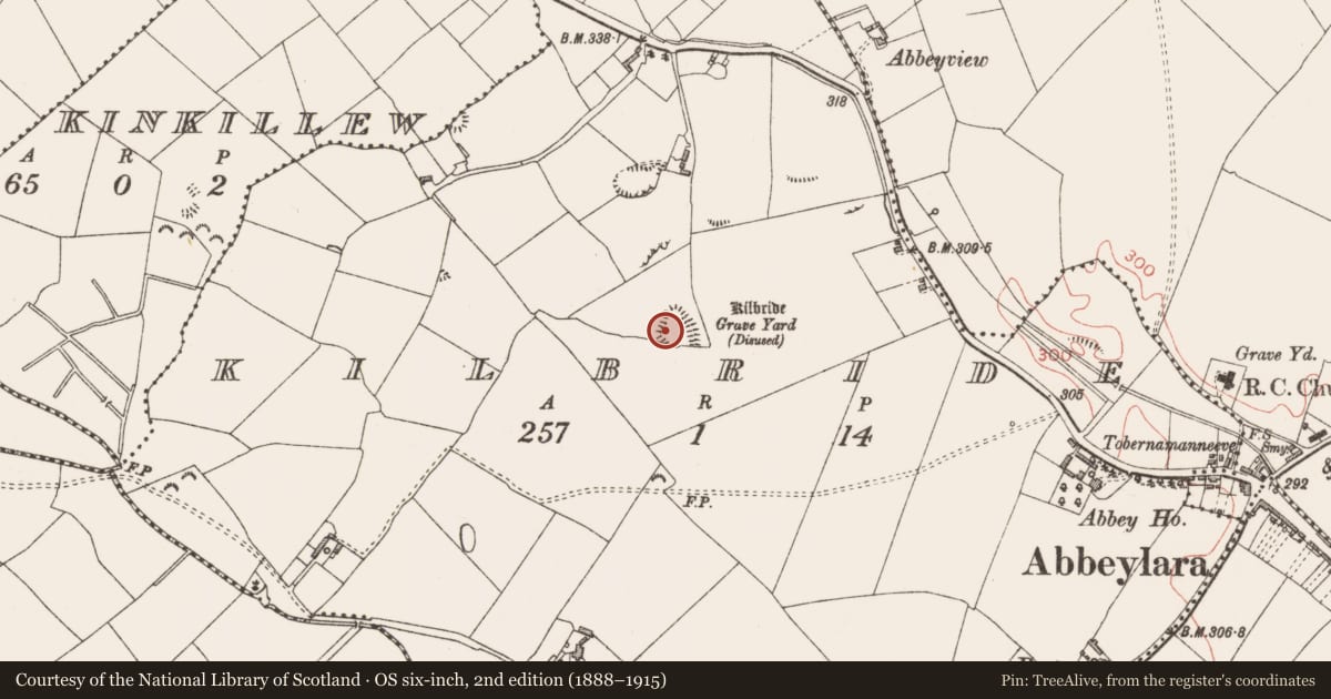 Ordnance Survey six-inch map, 2nd edition (1888–1915) covering the location of Church, Kilbride, County Longford, with a pin at the register's coordinates