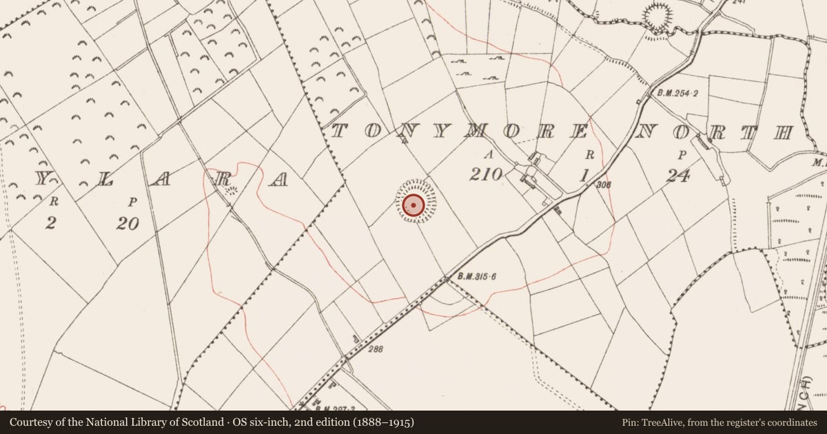 Ordnance Survey six-inch map, 2nd edition (1888–1915) covering the location of Ringfort - rath, Tonymore North, County Longford, with a pin at the register's coordinates