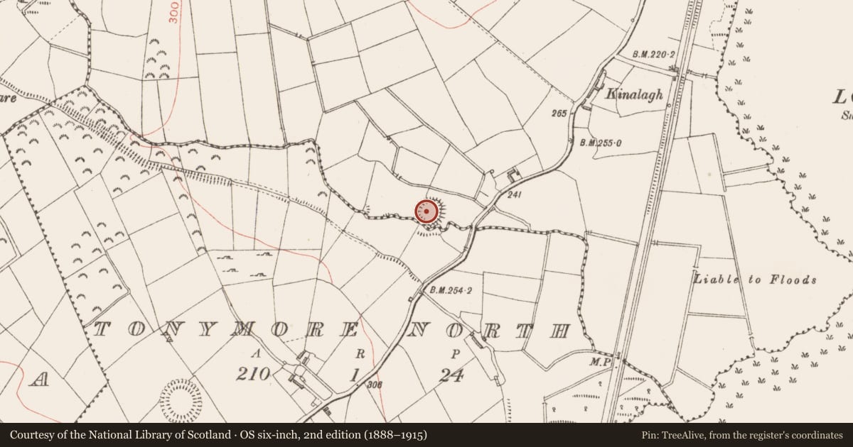 Ordnance Survey six-inch map, 2nd edition (1888–1915) covering the location of Ringfort - rath, Springtown, County Longford, with a pin at the register's coordinates