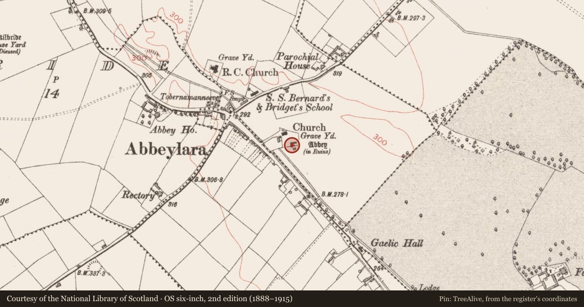 Ordnance Survey six-inch map, 2nd edition (1888–1915) covering the location of Religious house - Cistercian monks, Abbeylara, County Longford, with a pin at the register's coordinates