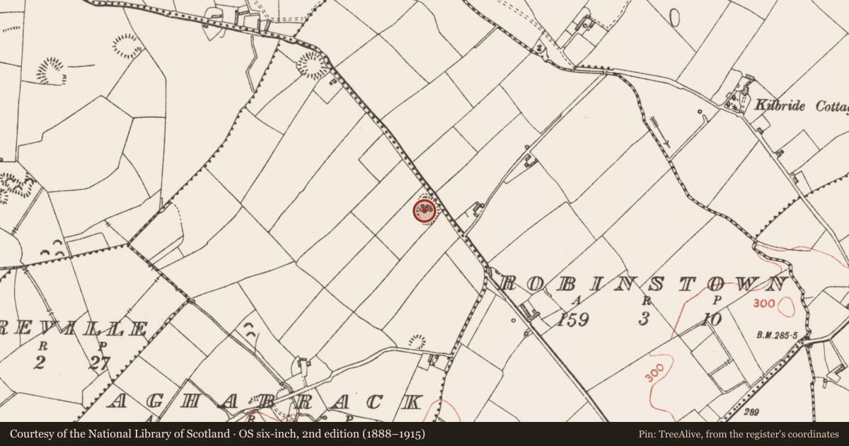 Ordnance Survey six-inch map, 2nd edition (1888–1915) covering the location of Ringfort - rath, Aghabrack, County Longford, with a pin at the register's coordinates
