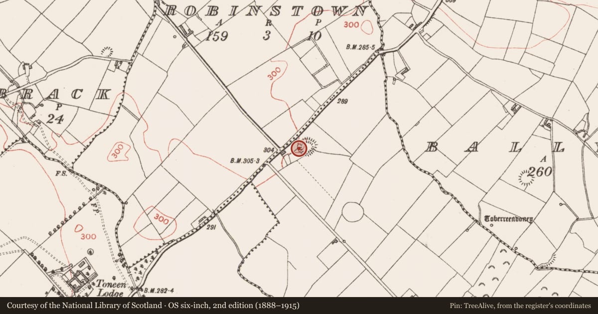 Ordnance Survey six-inch map, 2nd edition (1888–1915) covering the location of Ringfort - rath, Rincoolagh, County Longford, with a pin at the register's coordinates