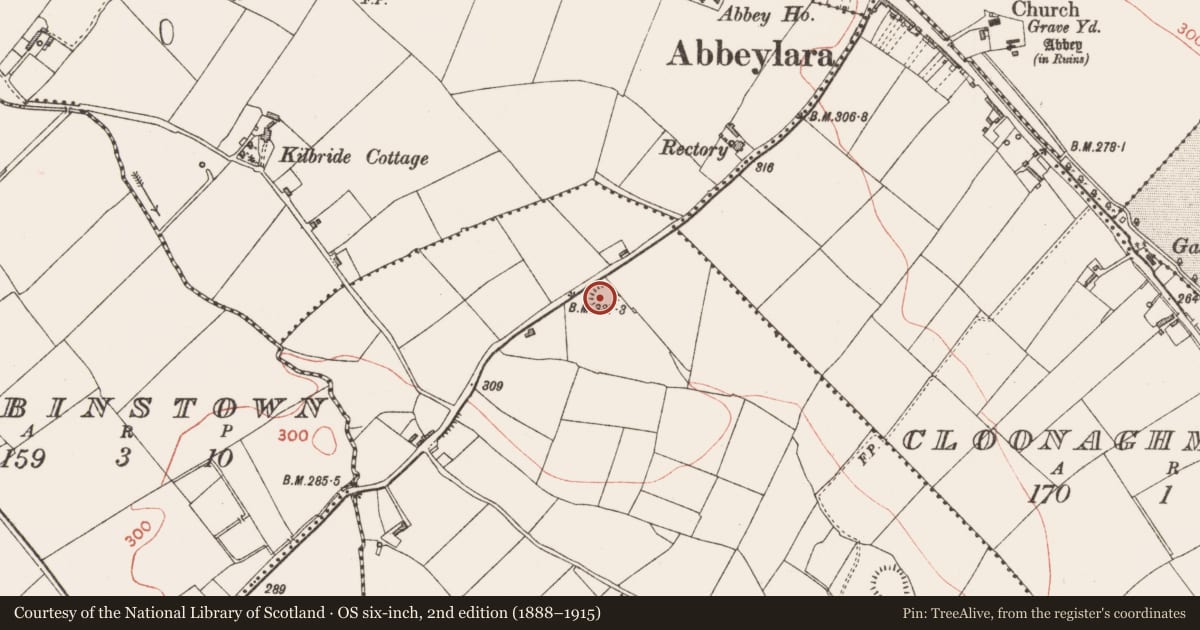 Ordnance Survey six-inch map, 2nd edition (1888–1915) covering the location of Ringfort - rath, Ballyboy, County Longford, with a pin at the register's coordinates